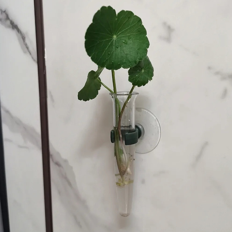 11cm Floral Water Tubes Plasti - đánh giá và giá Nutrition & Fitness Hub Photos